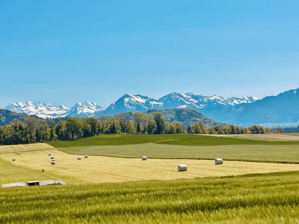 Oberdiessbach